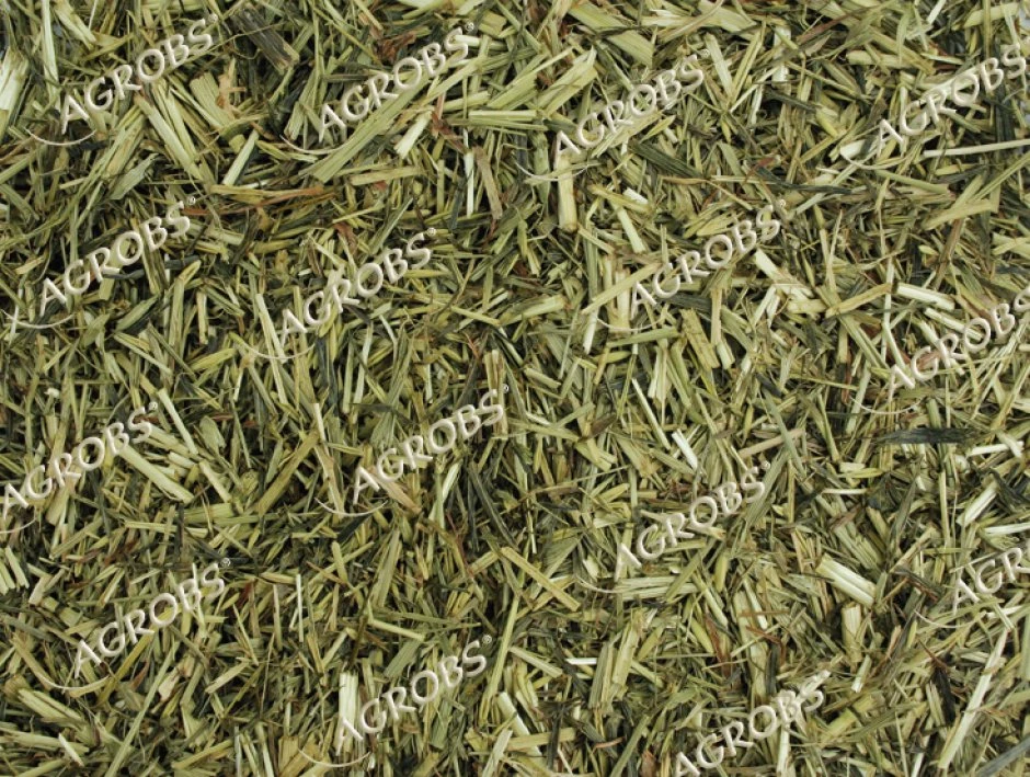 Agrobs Grünhafer 15kg 2 Agrobs Grünhafer 15kg – Bild 2