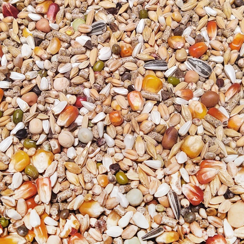 Vanrobaeys Nr.49 Sport Junior Pro - Revolution 20kg 1 Vanrobaeys Nr.49 Sport Junior Pro - Revolution 20kg