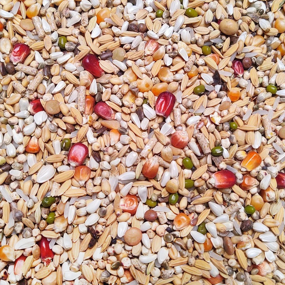 Vanrobaeys Nr.57 Sport Light Pro - Revolution 20kg 1 Vanrobaeys Nr.57 Sport Light Pro - Revolution 20kg