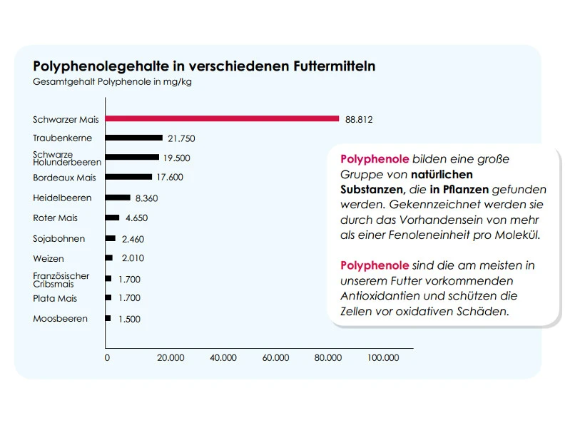 Versele Master R Exclusiv 20kg 3 Versele Master R Exclusiv 20kg – Bild 3