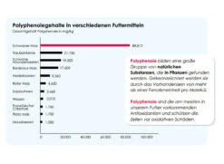 Versele Junior Plus I.C.⁺ 20kg 6 Versele Junior Plus I.C.⁺ 20kg -Haustierzubehör antioxidantien 17