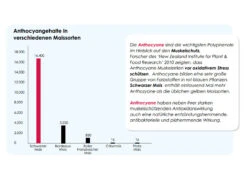 Versele Master Diät Relax 20kg -Haustierzubehör antioxidantien 23
