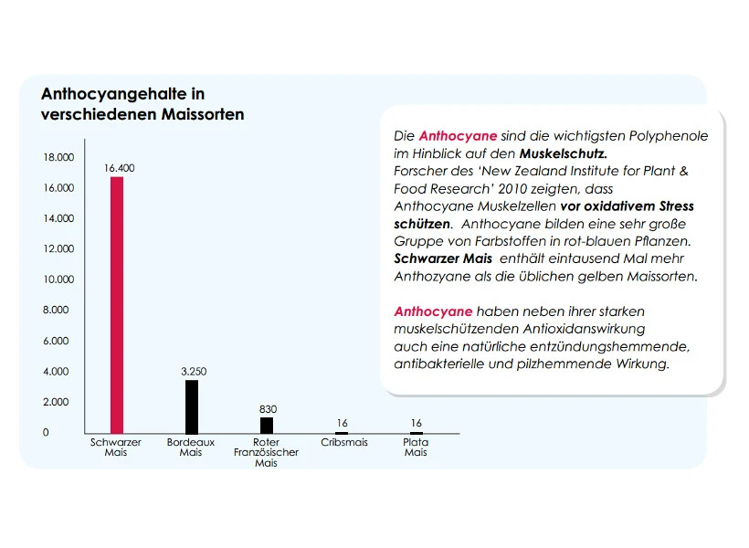 Versele Start Plus I.C.⁺ 20kg 4 Versele Start Plus I.C.⁺ 20kg – Bild 4