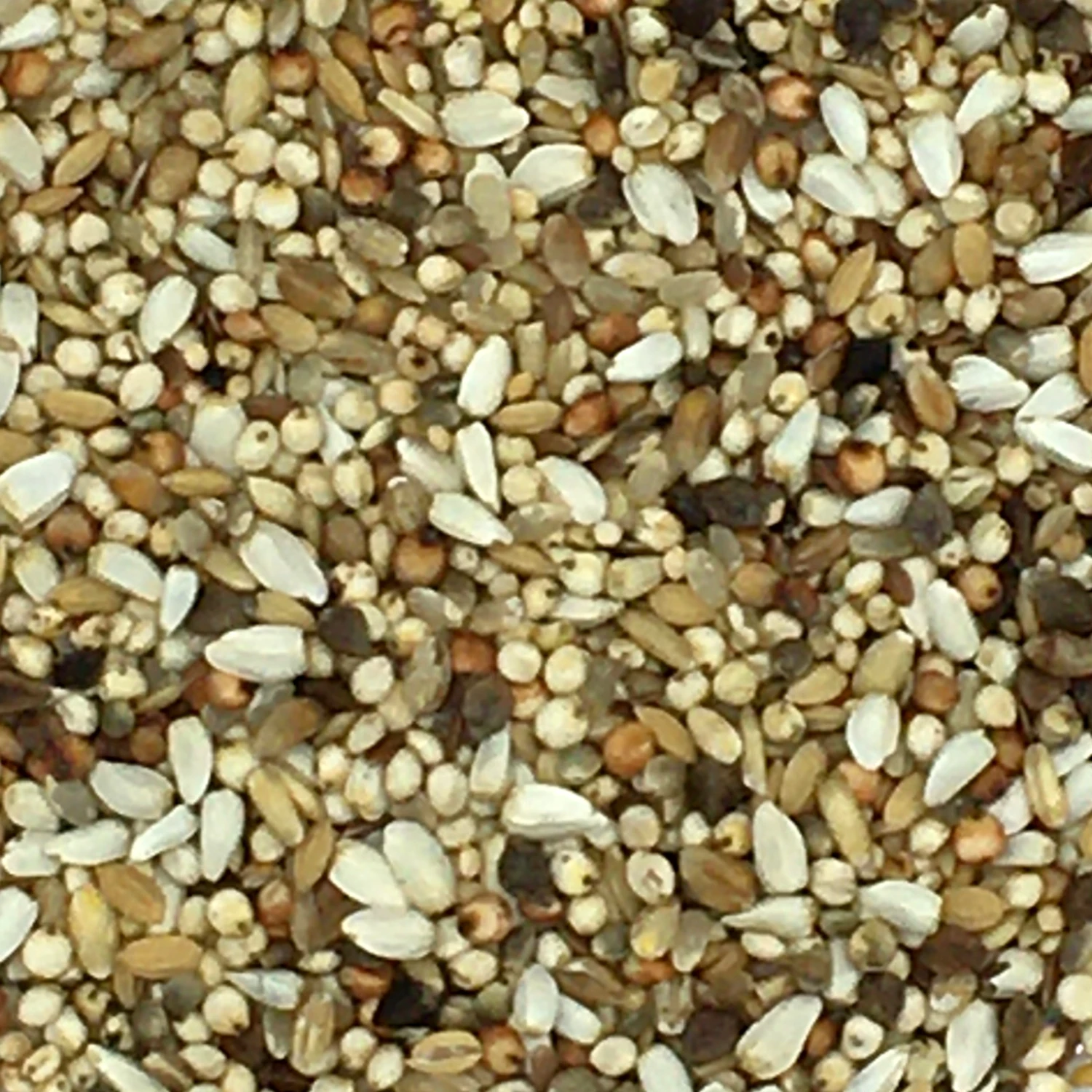 Beyers 24 - Superdiät 25kg 1 Beyers 24 - Superdiät 25kg