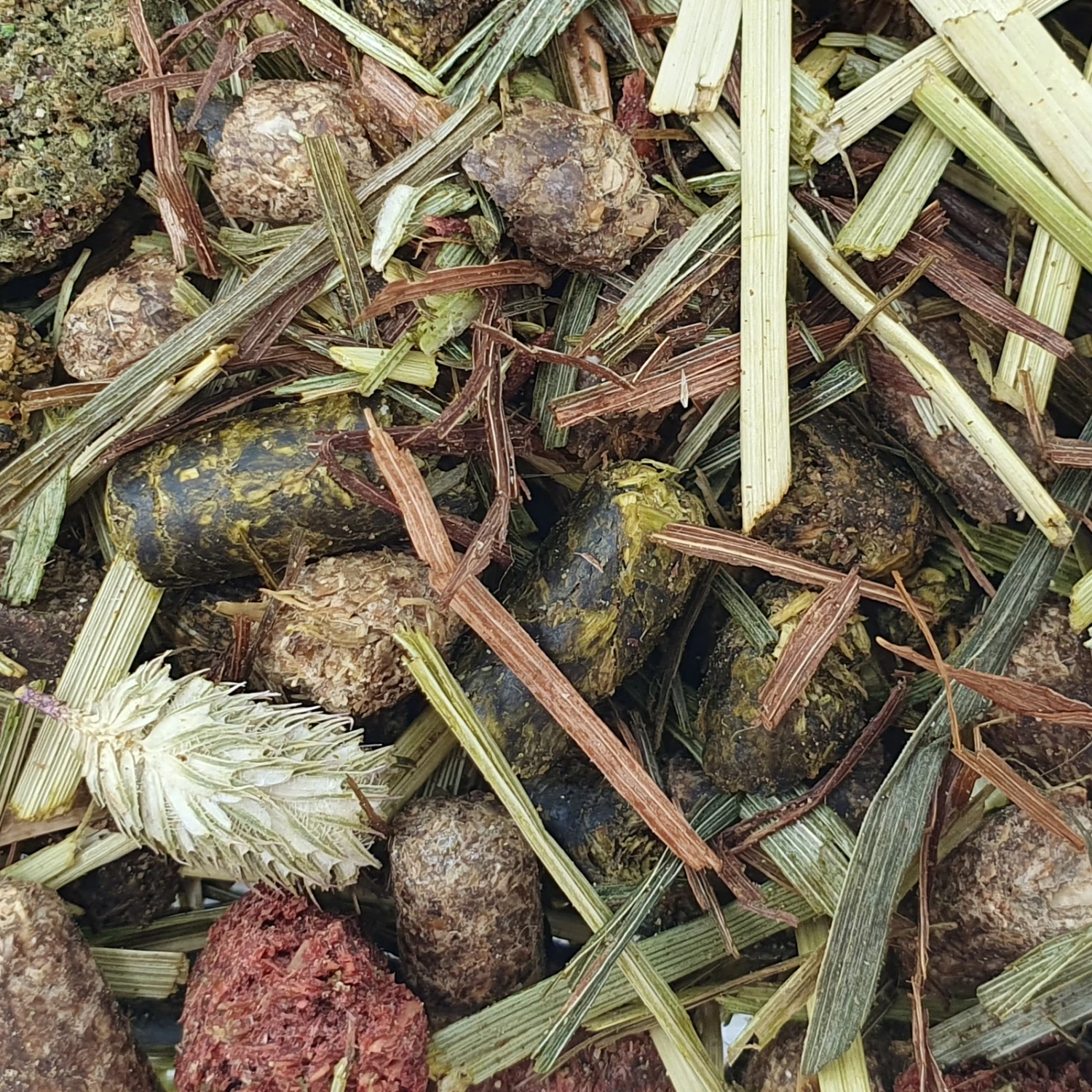 Cavalor FiberForce Gastro Müsli 15kg 1 Cavalor FiberForce Gastro Müsli 15kg