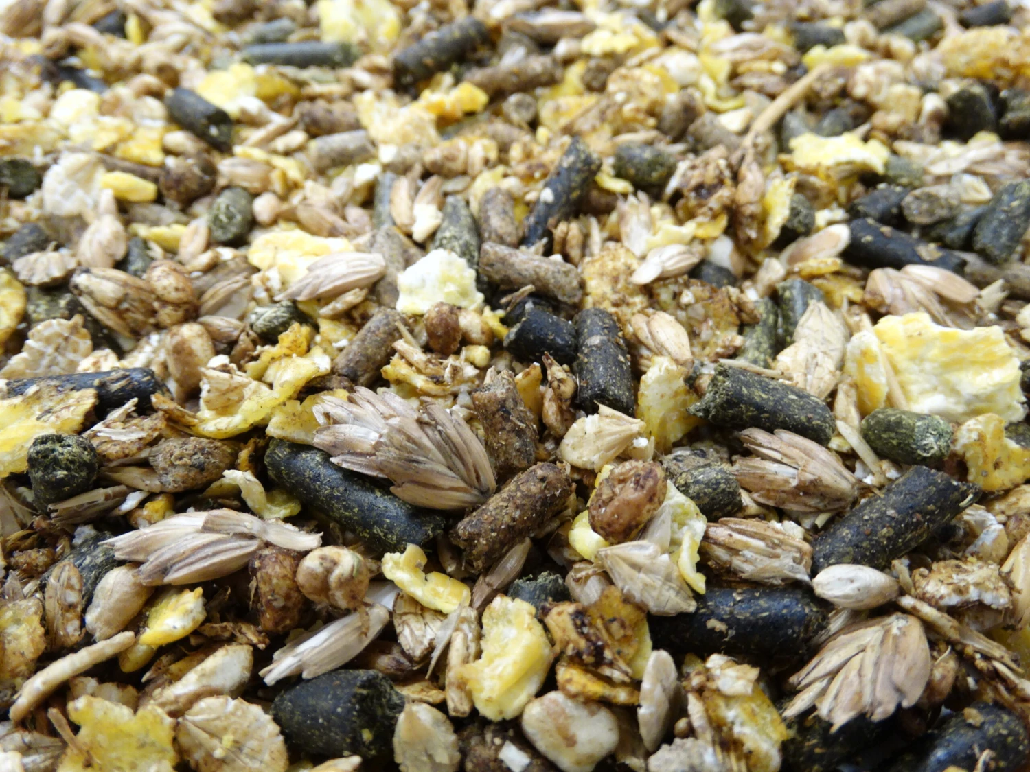 Havens Cool-Mix 20kg 3 Havens Cool-Mix 20kg – Bild 3