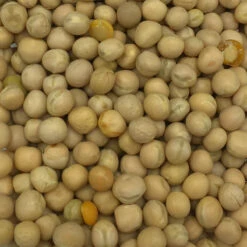 VERSELE-LAGA Erbsen Gelb - Versele 25kg