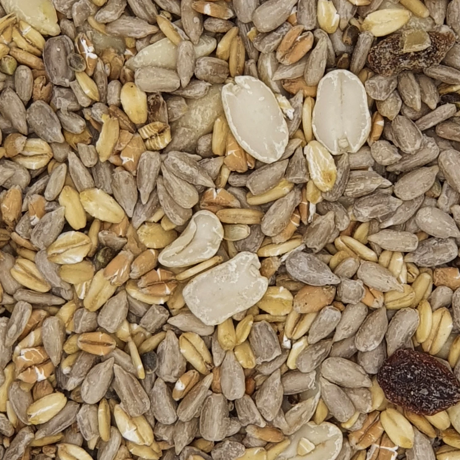 Gevo Gartenvogelfutter Schalenlos 10kg 1 Gevo Gartenvogelfutter Schalenlos 10kg