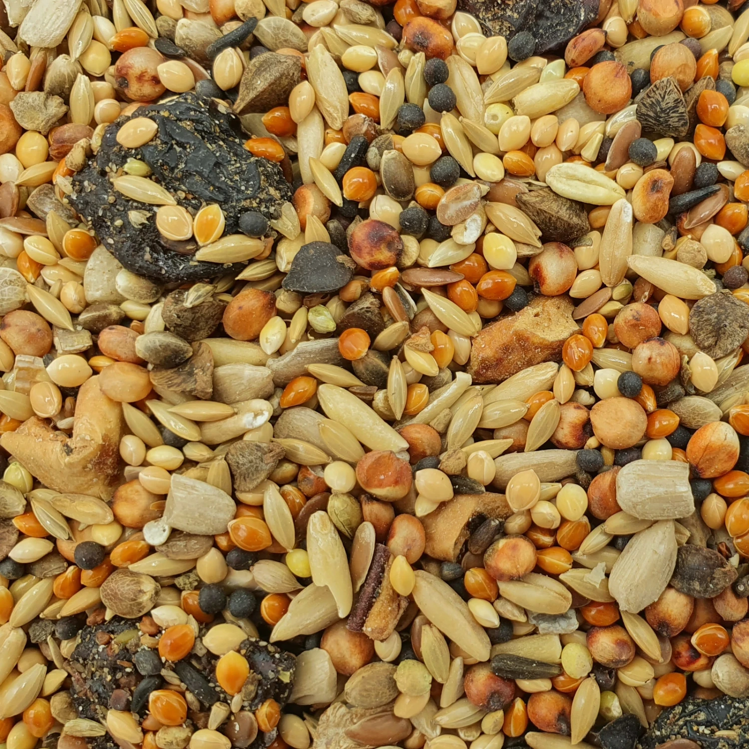 Gevo Wildvogelfutter Mit Früchten 25kg 1 Gevo Wildvogelfutter Mit Früchten 25kg