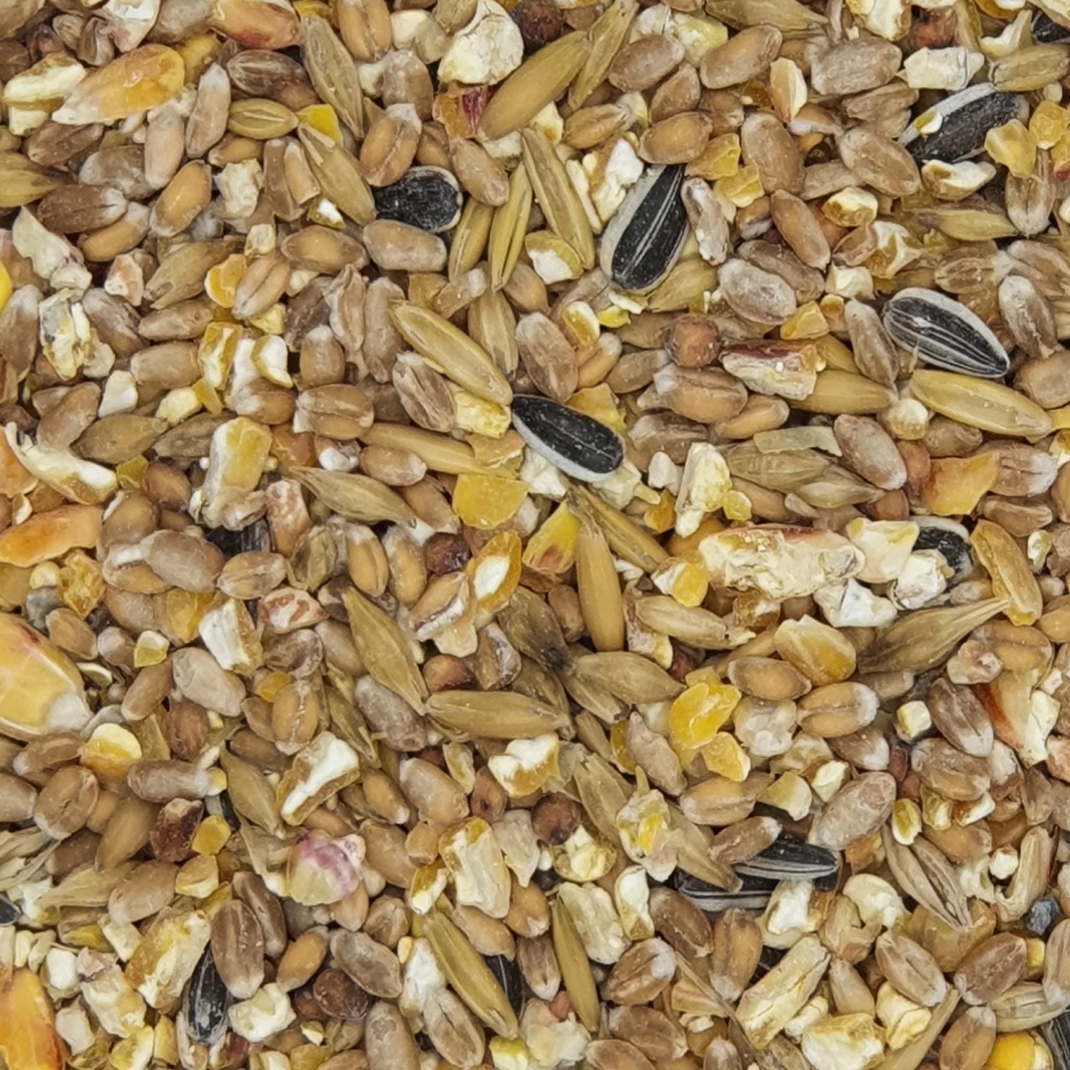 Gladen Geflügelkörnerfutter (GVO Frei) 25kg 1 Gladen Geflügelkörnerfutter (GVO Frei) 25kg