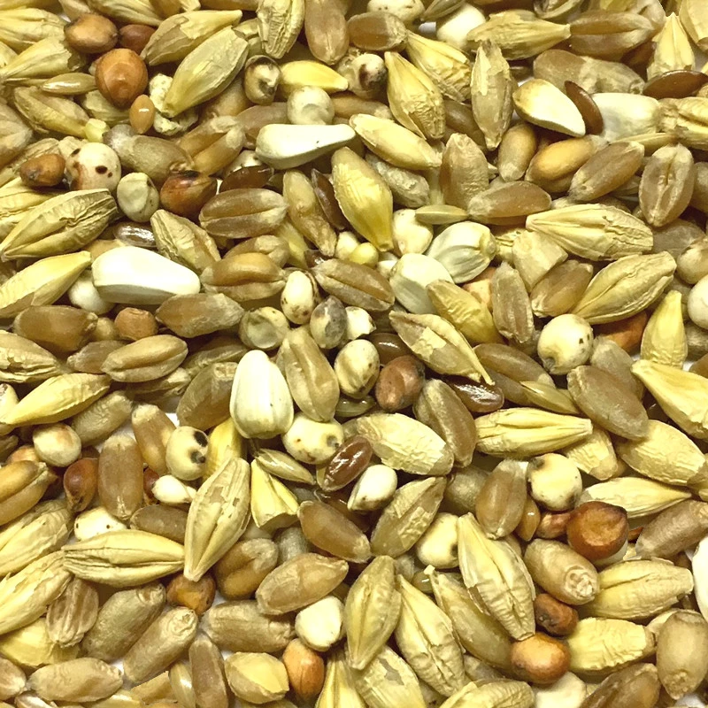 Gladen Säuberung 25kg 1 Gladen Säuberung 25kg