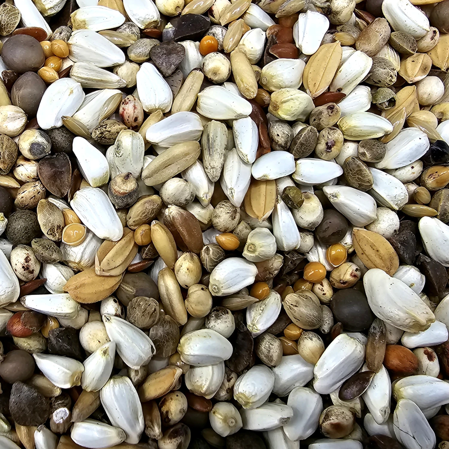 Gladen Super Diät 20kg 1 Gladen Super Diät 20kg