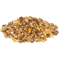 Versele Gold 4 Mix 20kg -Haustierzubehör gold4mixl