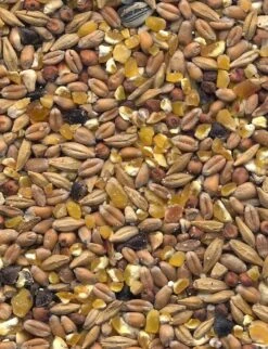 Havens Scharrel-Graan - Körnerfutter 25kg -Haustierzubehör graanmengelingenscharrelgraan