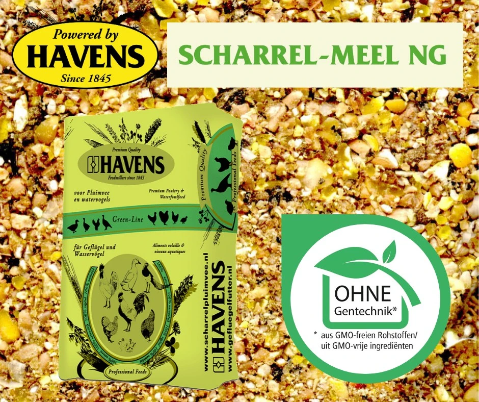 Havens Scharrel-Mehl NG - Legemehl GVO-frei 25kg 2 Havens Scharrel-Mehl NG - Legemehl GVO-frei 25kg – Bild 2