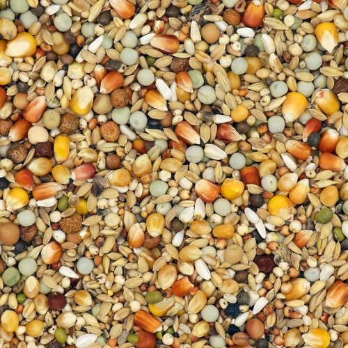 Versele Junior Active Life 25kg 1 Versele Junior Active Life 25kg