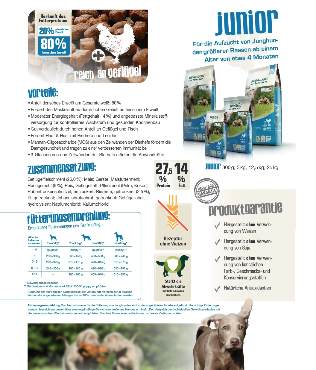 Bewi Dog Junior 12,5kg 4 Bewi Dog Junior 12,5kg – Bild 4