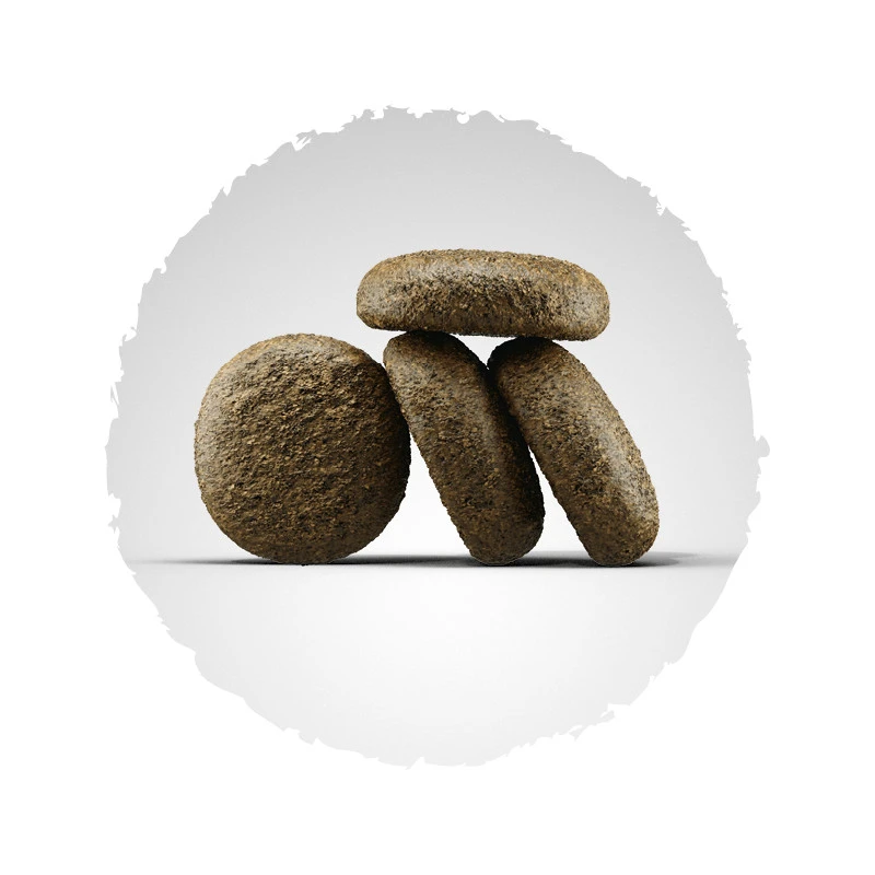 Josera Lachs & Kartoffel 15kg 2 Josera Lachs & Kartoffel 15kg – Bild 2