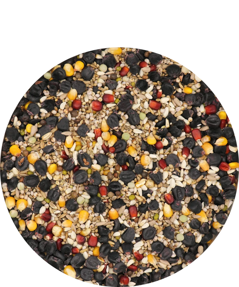 Versele Master Black 20kg 1 Versele Master Black 20kg