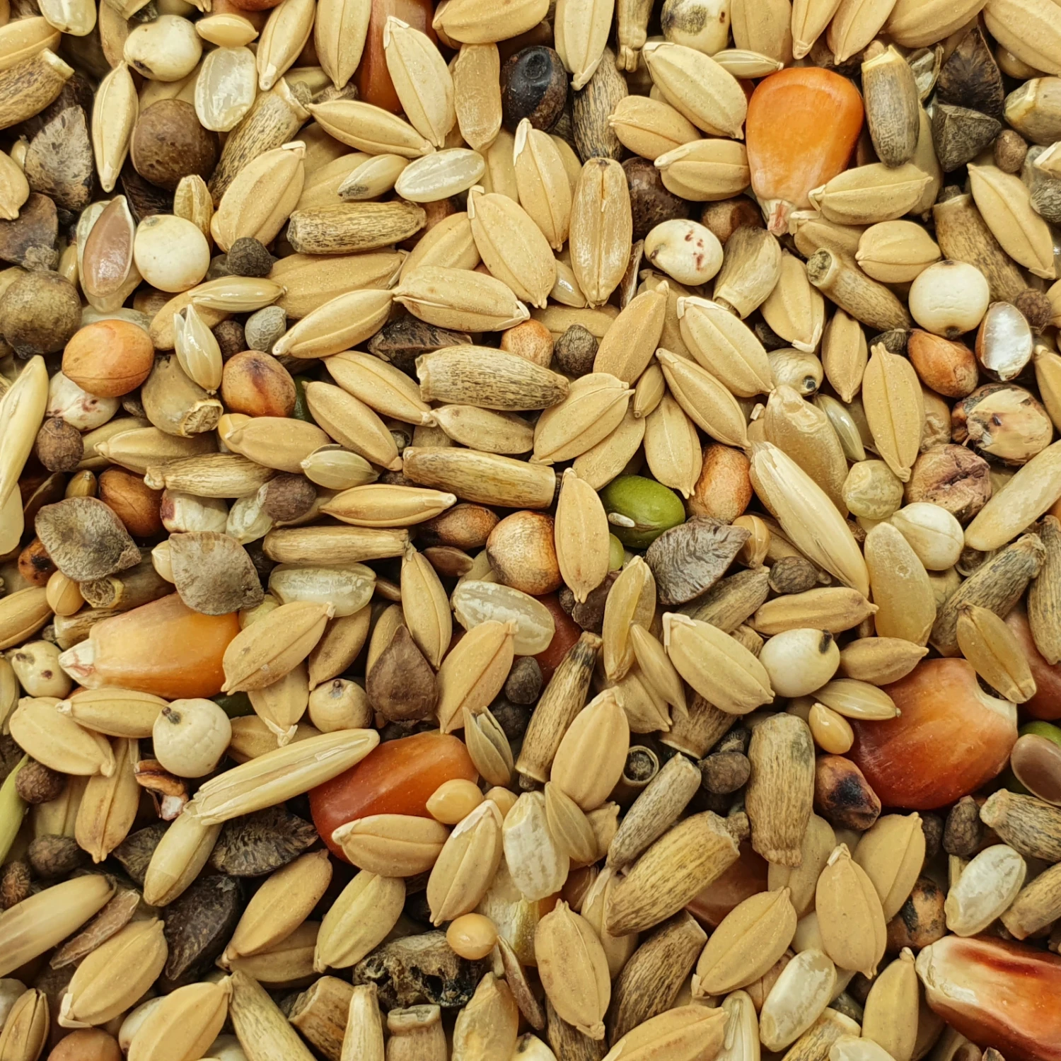 Matador Premium Detox 20kg 1 Matador Premium Detox 20kg