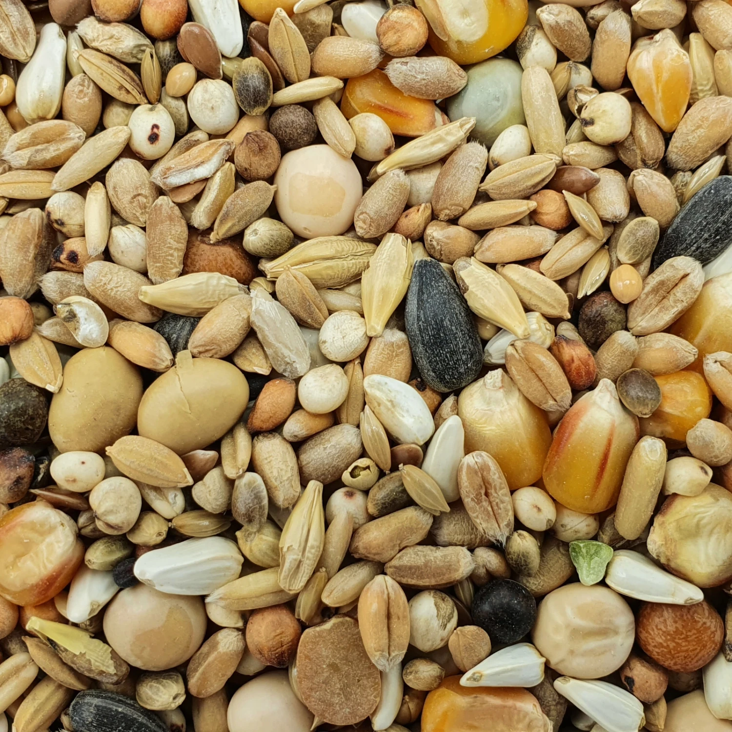 Matador Premium Mauser 25kg 1 Matador Premium Mauser 25kg