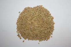 Paddyreis - Vanrobaeys 20kg