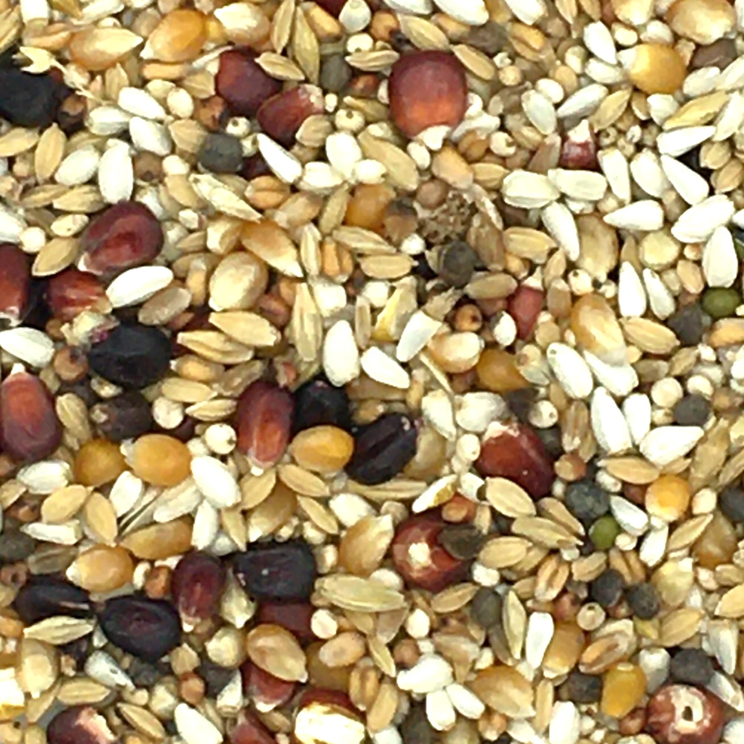 Paloma Nr.09 Diamond Bergemann Light 20kg 1 Paloma Nr.09 Diamond Bergemann Light 20kg