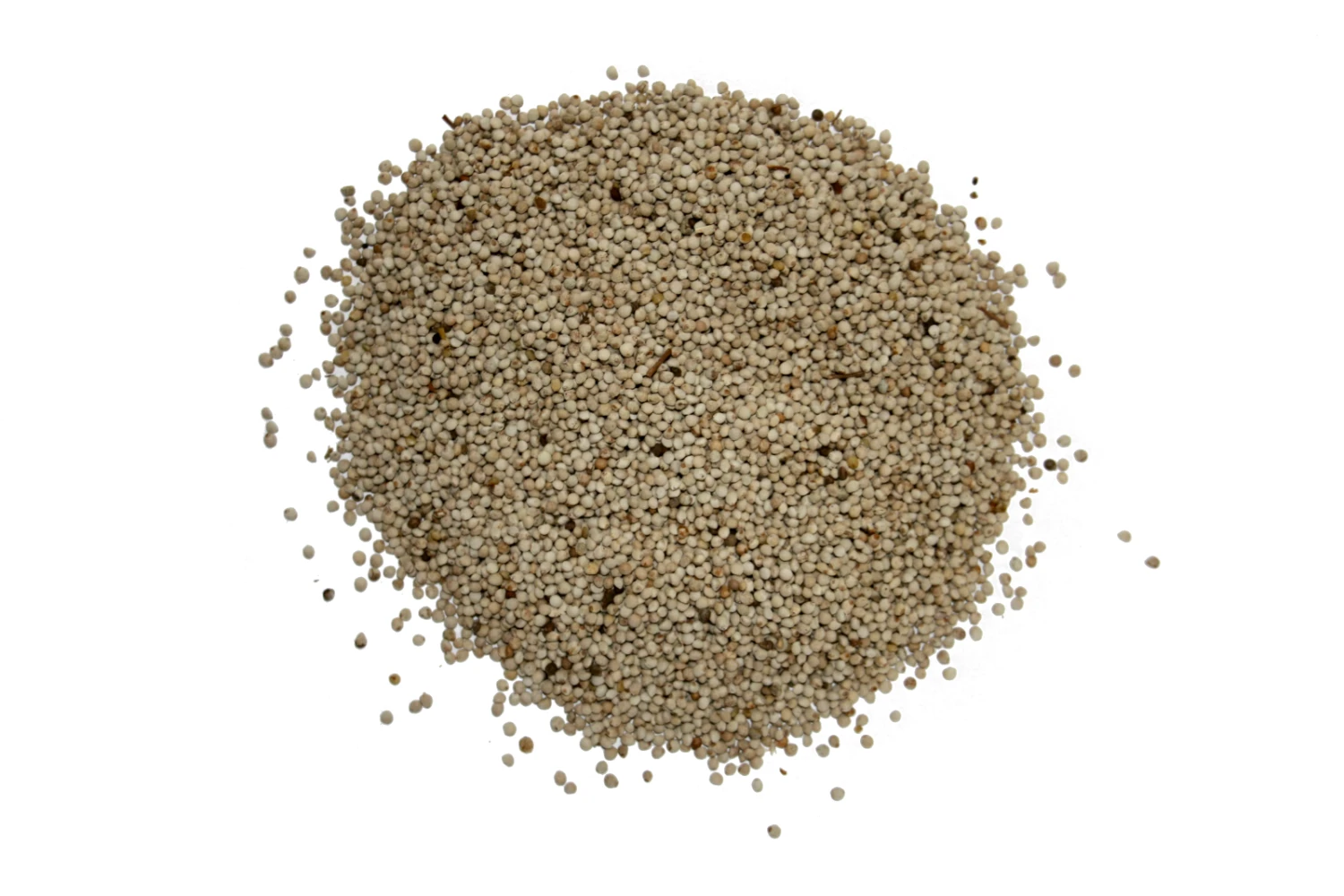 Perillasaat Weiß - Gladen 2,5kg 2 Perillasaat Weiß - Gladen 2,5kg – Bild 2