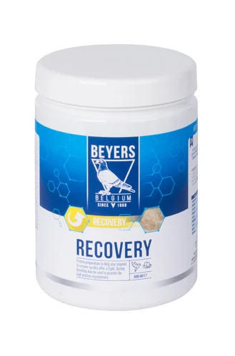 Beyers Recovery 600g 1 Beyers Recovery 600g