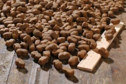 Bewi Dog Junior 12,5kg 6 Bewi Dog Junior 12,5kg -Haustierzubehör rs2899 junior kroketten lineal img 1767b klein