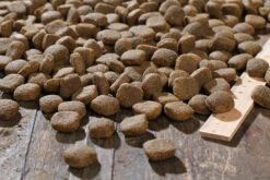 Bewi Dog H-Energy 25kg 6 Bewi Dog H-Energy 25kg -Haustierzubehör rs2910 h energy kroketten lineal img 1786b klein