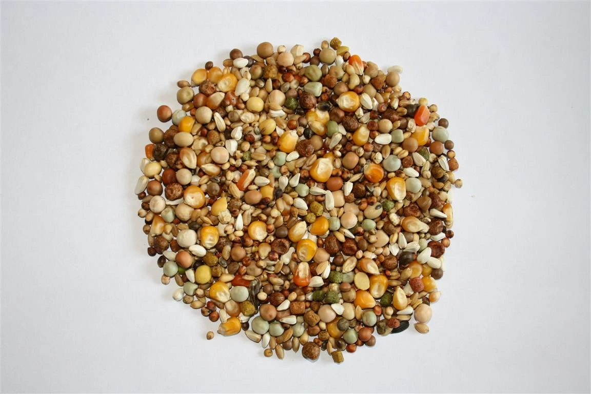 Versele Start Plus I.C.⁺ 20kg 1 Versele Start Plus I.C.⁺ 20kg