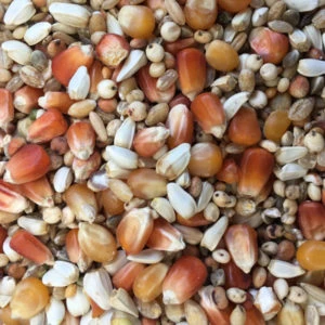 Spinne Tollisan Forte 25kg 1 Spinne Tollisan Forte 25kg