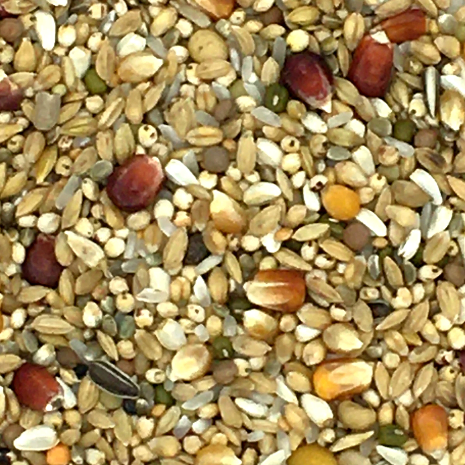 Vanrobaeys Nr.183 Relax Premium Power 20kg 1 Vanrobaeys Nr.183 Relax Premium Power 20kg