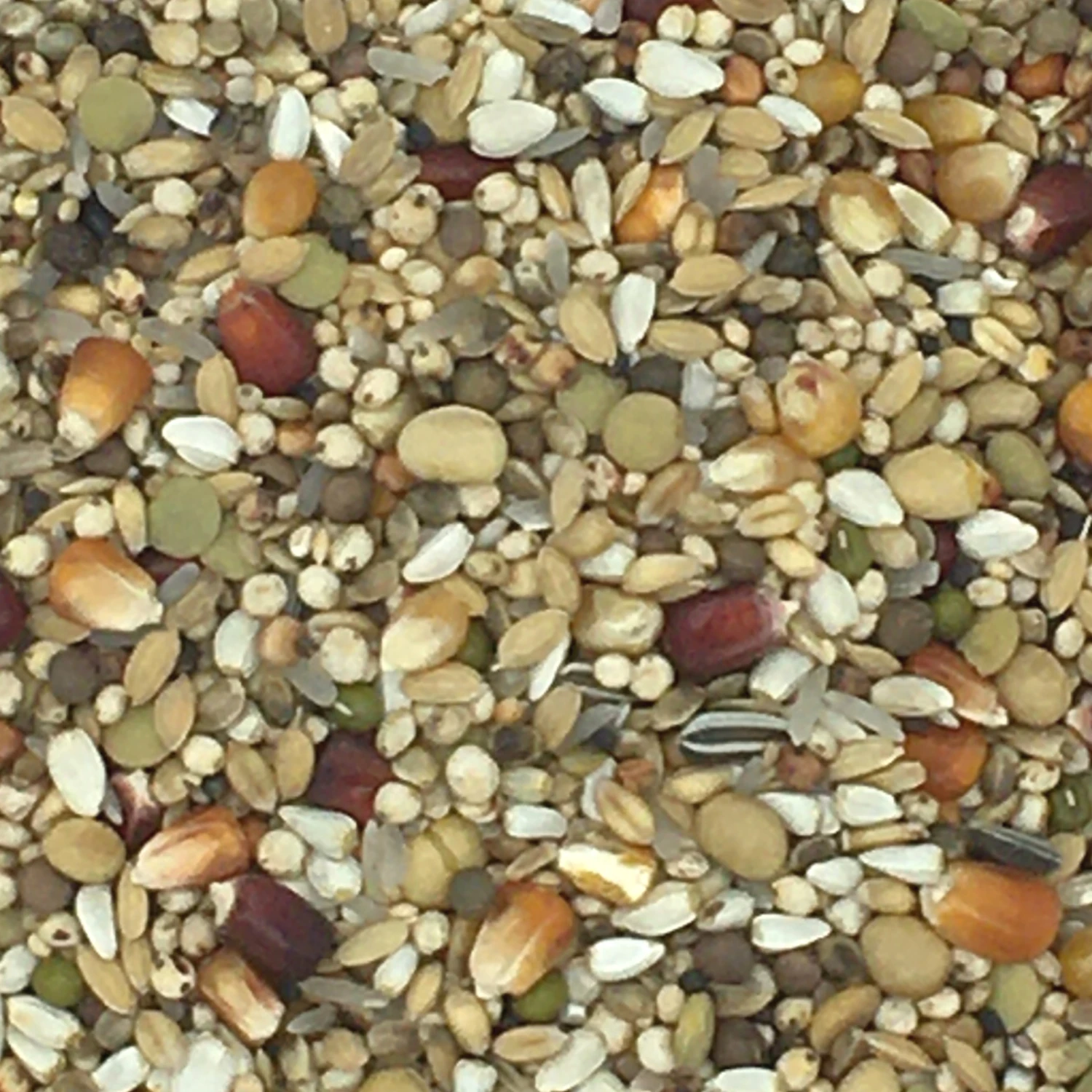 Vanrobaeys Nr.185 Jungtauben Premium Power 20kg 1 Vanrobaeys Nr.185 Jungtauben Premium Power 20kg