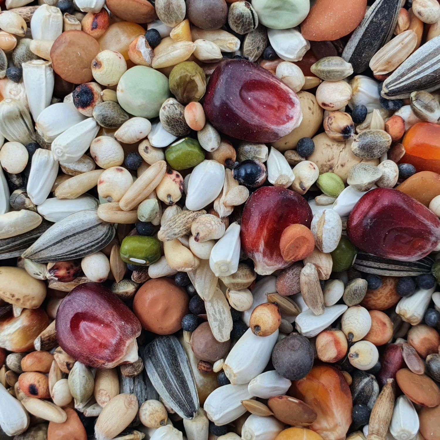 Vanrobaeys Nr.186 Mauser Premium Power 20kg 1 Vanrobaeys Nr.186 Mauser Premium Power 20kg