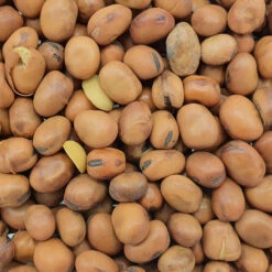 Vanrobaeys Taubenbohnen 25kg