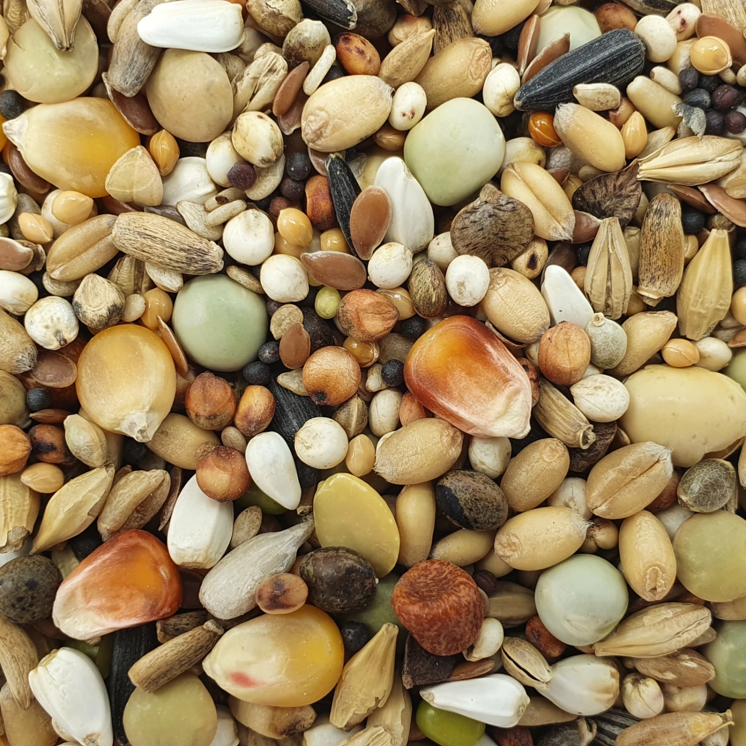 Versele Mauser Active Life 25kg 1 Versele Mauser Active Life 25kg