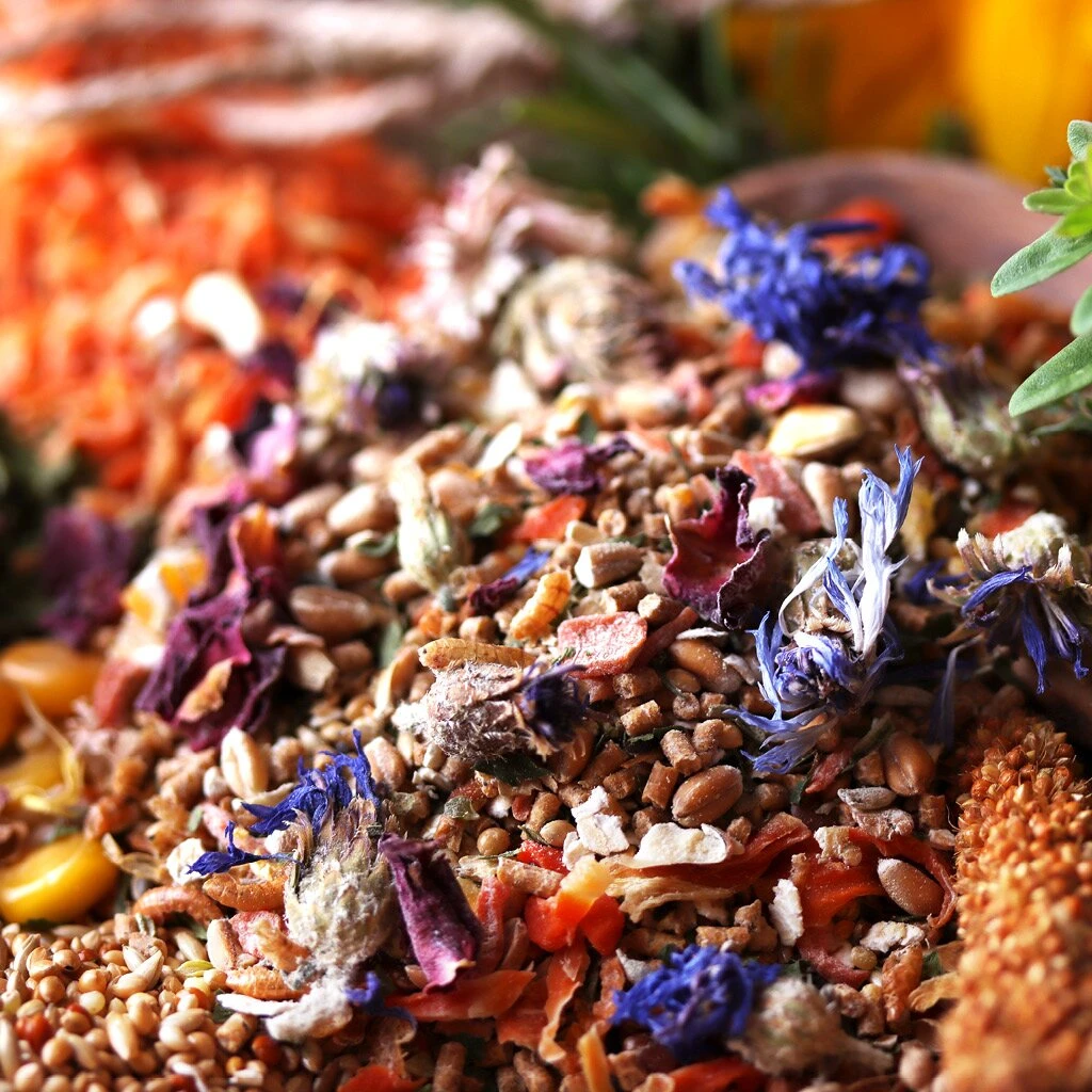 WachtelGold Wachtel Spezial Original 10kg 1 WachtelGold Wachtel Spezial Original 10kg