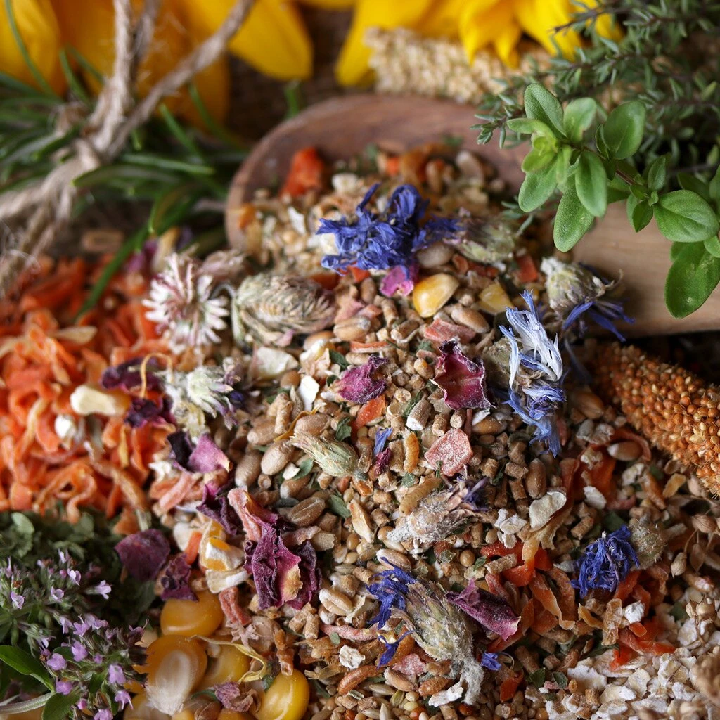 WachtelGold Wachtel Spezial Original 10kg 2 WachtelGold Wachtel Spezial Original 10kg – Bild 2