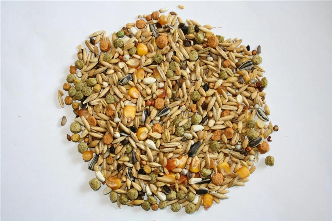 Versele Winter Plus I.C.⁺ 20kg 1 Versele Winter Plus I.C.⁺ 20kg