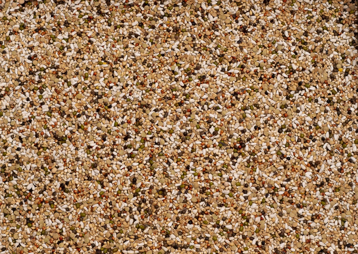 Beyers Wal Zoontjens Basis Gelb 25kg 1 Beyers Wal Zoontjens Basis Gelb 25kg